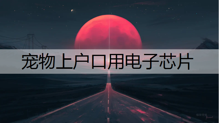 宠物上户口用电子芯片