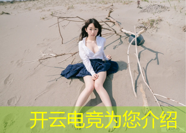 kaiyun·开云电竞为您介绍：电竞赛事ppt任务分解图