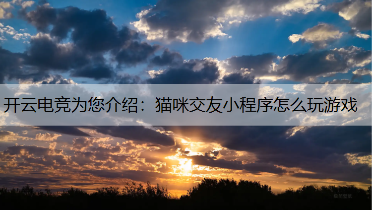 猫咪交友小程序怎么玩游戏